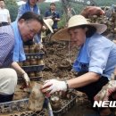 조성봉농장 이미지