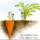 샤르망헤어 이미지