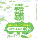백련농장 | 전남 무안 여행지 추천 무안연꽃축제 다녀왔었던 후기