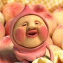 이리로 이미지