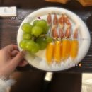 PLAY | 평택역 분위기좋은 술집 LOCAL PLAY RECORD | 신상술집 후기