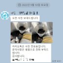 달려라동물병원 네이버블로그