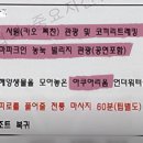 코끼리유흥주점 이미지