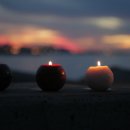 럭키상사 이미지