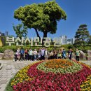 5월 13일 월요일 - 부산시민공원 산책활동 이미지