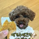 몽쉘꼬몽 이미지