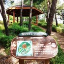 허준근린공원 이미지