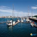 목포요트마리나 이미지