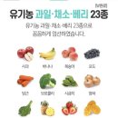 걸스투맘 네이버블로그