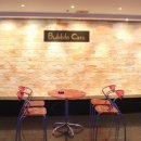 버블캣츠 이미지