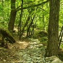 개인약수 탐방로 입구 이미지