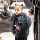 뉴아이리스 이미지