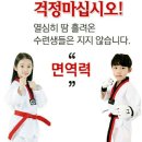 키즈펀태권도 네이버블로그