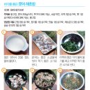 [Outdoor Recipe]작은 코펠과 미니버너 하나면 족해…이토록 총명한 캠핑 요리 이미지