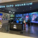 대전아쿠아리움 | &#39; 대전 대전 엑스포 아쿠아리움 &#39; 솔직후기