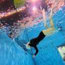 아임버디C | 🥽1. 프리다이빙 도전기