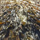 다인온누리약국 이미지