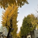 진선카페 네이버블로그