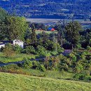 신교농장 이미지