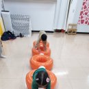 서울,경기,인천 유치원&어린이집 유아체육(오공도넛) 이미지