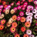 신암초교 이미지