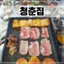충북혁신도시 맛집 음성 냉삼 &#39;청춘집&#39; 급냉 암돼지 냉동 삼겹살