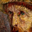 여행매니아㈜ 이미지