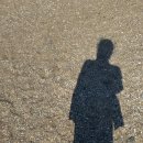 바다다방 이미지