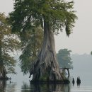 기산세탁 이미지