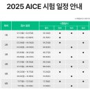 AI자격증 AICE 따라잡기 (초등) | AICE BASIC 비전공자 문과생 합격 후기 / 2주 독학 만점 / 무료 강의