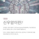 신우공간