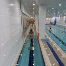 블루오션 키즈 스위밍 이미지