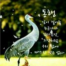 새생명공동체 Daum카페