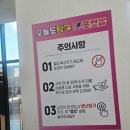 오늘도 탁구 포켓볼 이미지