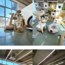 동물보육원 고양지부 이미지