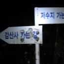 남월농장 Daum카페