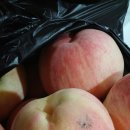 갈촌농장 이미지