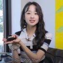 헤어 드 파리(Hair de Paris) | 알렉산드르드파리 솔페리노 바레타 브라운 쉘 / 생토노레 헤어밴드 베이지 후기