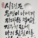 미소해 인셀덤 이미지