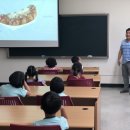 강진중앙초등학교 이미지