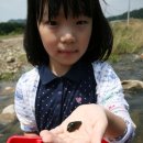 남한강올갱이마을 이미지