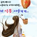 ★여자 대머리`가 늘고 있다. 원인과 해결책은★ 이미지