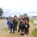 팀코리아 태권도장 이미지