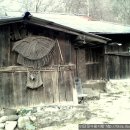 감나무집보리밥 이미지