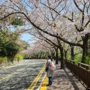 동백초등학교 앞 교차로 | [4월의부산-2일차 배낭여행] 파라다이스호텔 - 해운대해변 - 달맞이벚꽃길 - 디아트커피 - 문탠로드