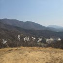 로드파크가로공원 이미지