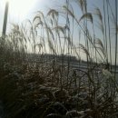 전원풍경 이미지