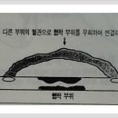 동인외과
