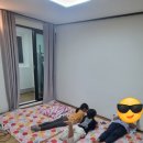 원산상회