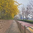 송파구 추억의 송파장길 이미지